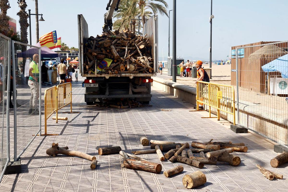 Reparto de leña para la noche de San Juan en València Reparto de leña para la noche de San Juan en València