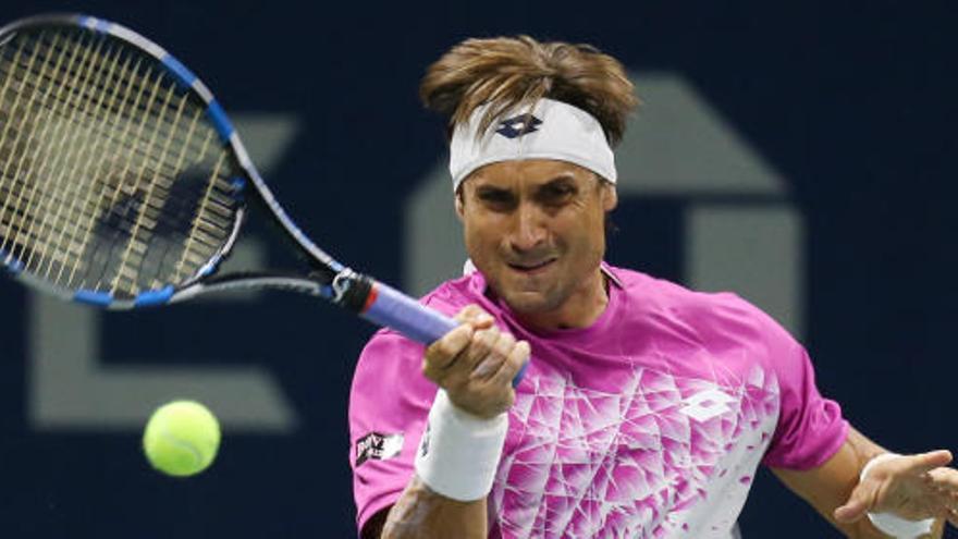 David Ferrer