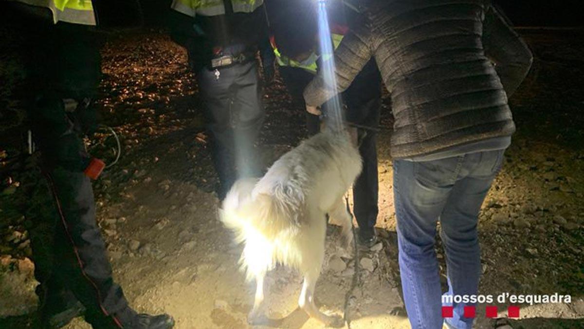 Rescatado en el pantano de Sant Antoni un perro robado en el Pallars Jussà