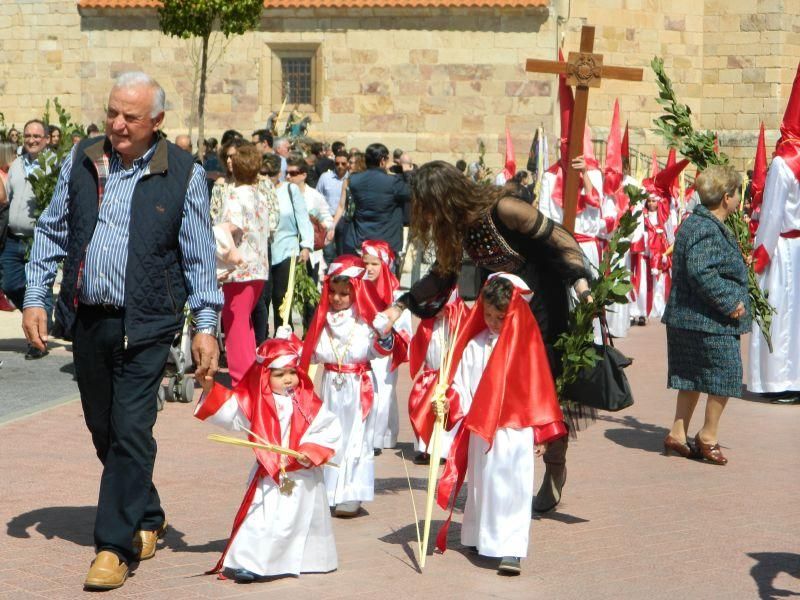 Procesión de Domingo de Ramos en Villaralbo