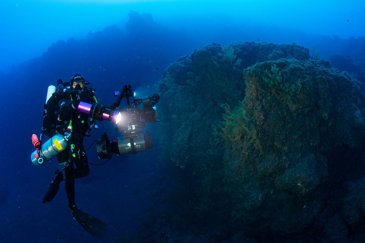 El Servicio de Biodiversidad del Gobierno de Canarias toma imágenes del delta lávico y los corales negros de La Palma.