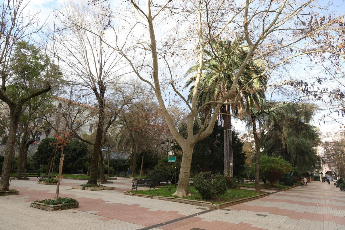 FOTOGALERÍA | La esperada reforma del Paseo de Cánovas de Cáceres, más cerca