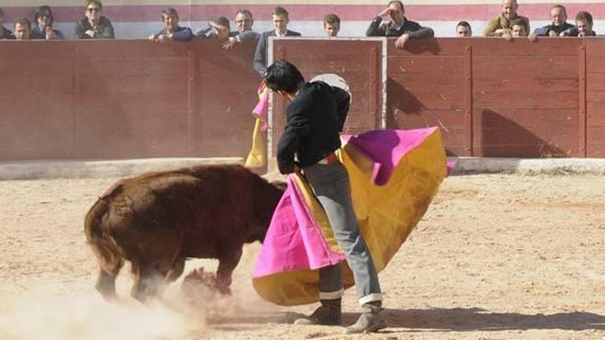 Alejandro Contreras se lució con el capote.