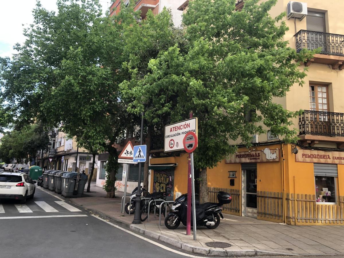 Fotogalería | La franquicia NODO se implanta en Cáceres Fotogalería | La franquicia NODO se implanta en Cáceres