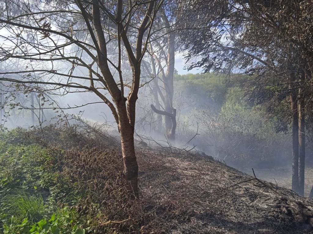 En imágenes: Los bomberos de Gijón sofocan un incendio en la playa de Serín
