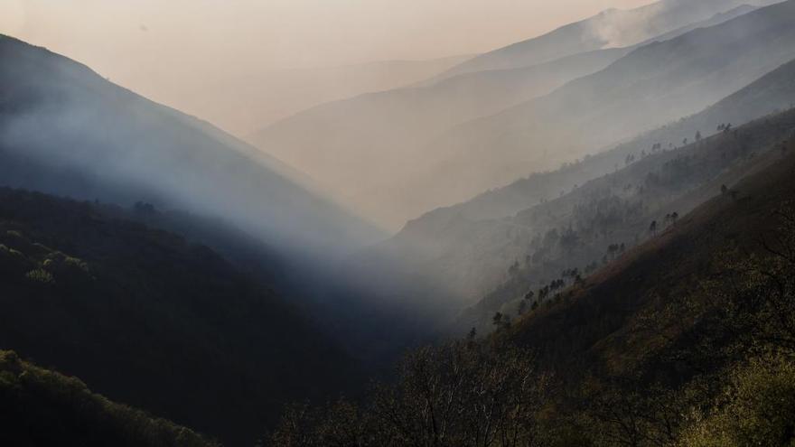 Tres grandes incendios quemaron cerca de dos mil hectáreas de enero a mayo en Asturias