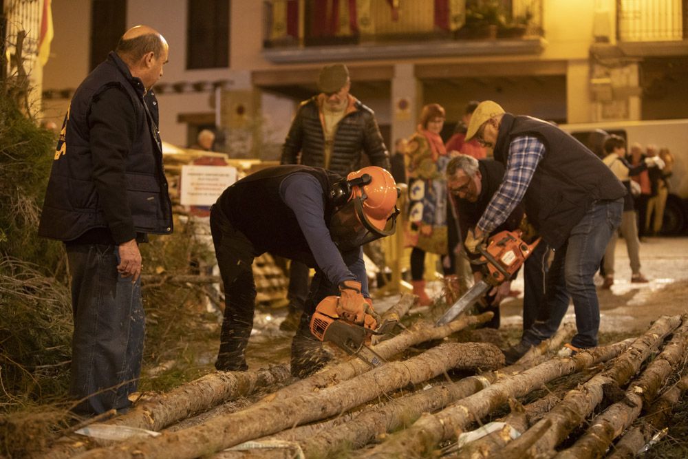 Sant Antoni arranca en Sagunt con la tradicional Plantà del Pi