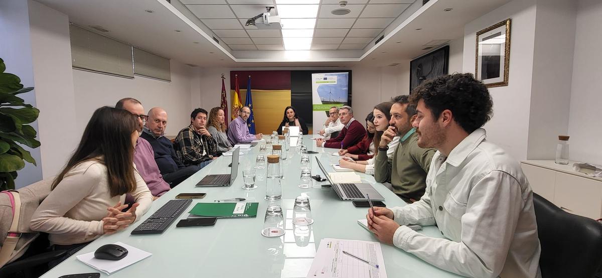 La secretaria autonómica de Energía, Sostenibilidad y Acción Climática, María Cruz Ferreira, presidió la última reunión del grupo de trabajo del proyecto europeo Biowind.