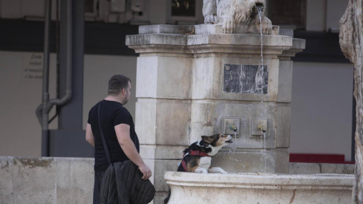 La Font del Lleó de Xàtiva.