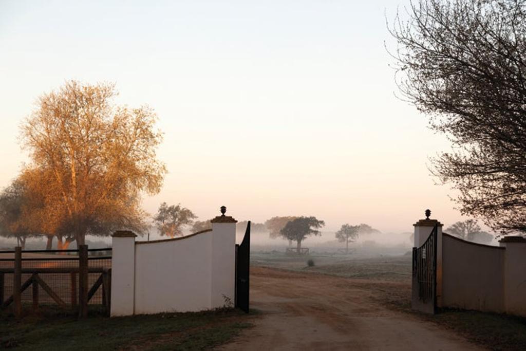 Acceso al Palacio Doñana, sede del Centro Superior de Investigaciones Científicas (CSIC)