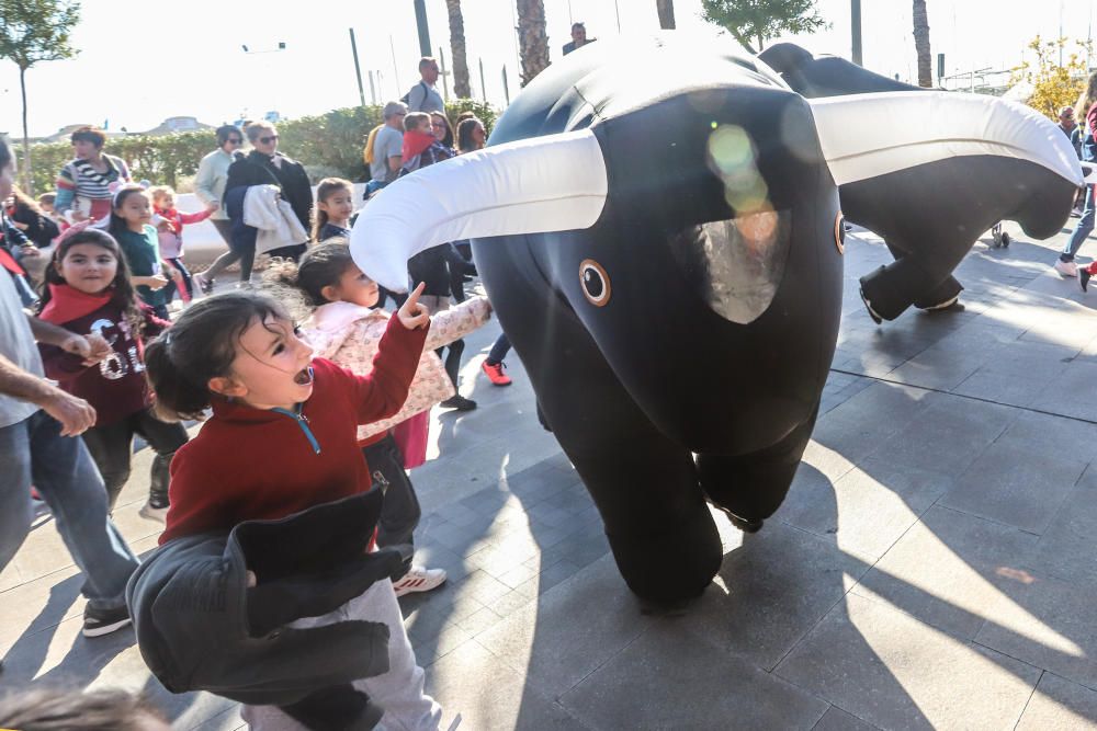 Toros "bravos" y carreras con el San Fermín infantil en de las fiestas patronales de Torrevieja