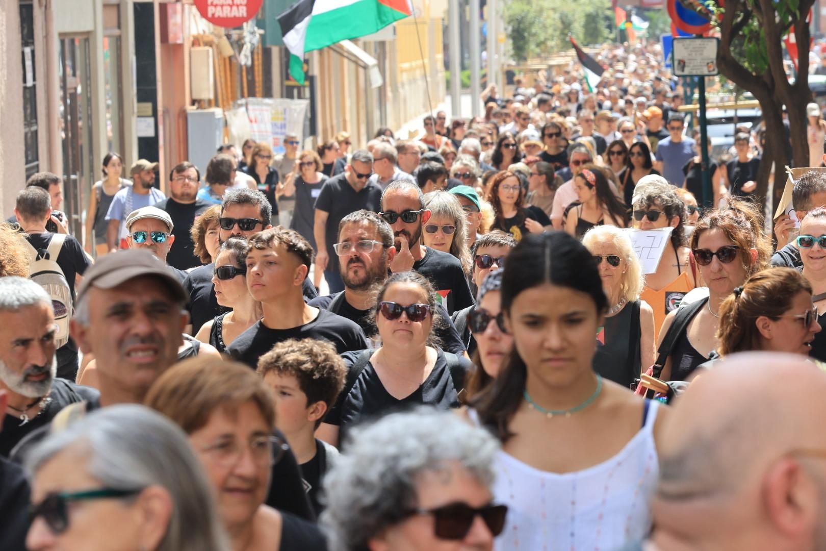 Manifestación a favor del pueblo palestino y la paz en Castellón