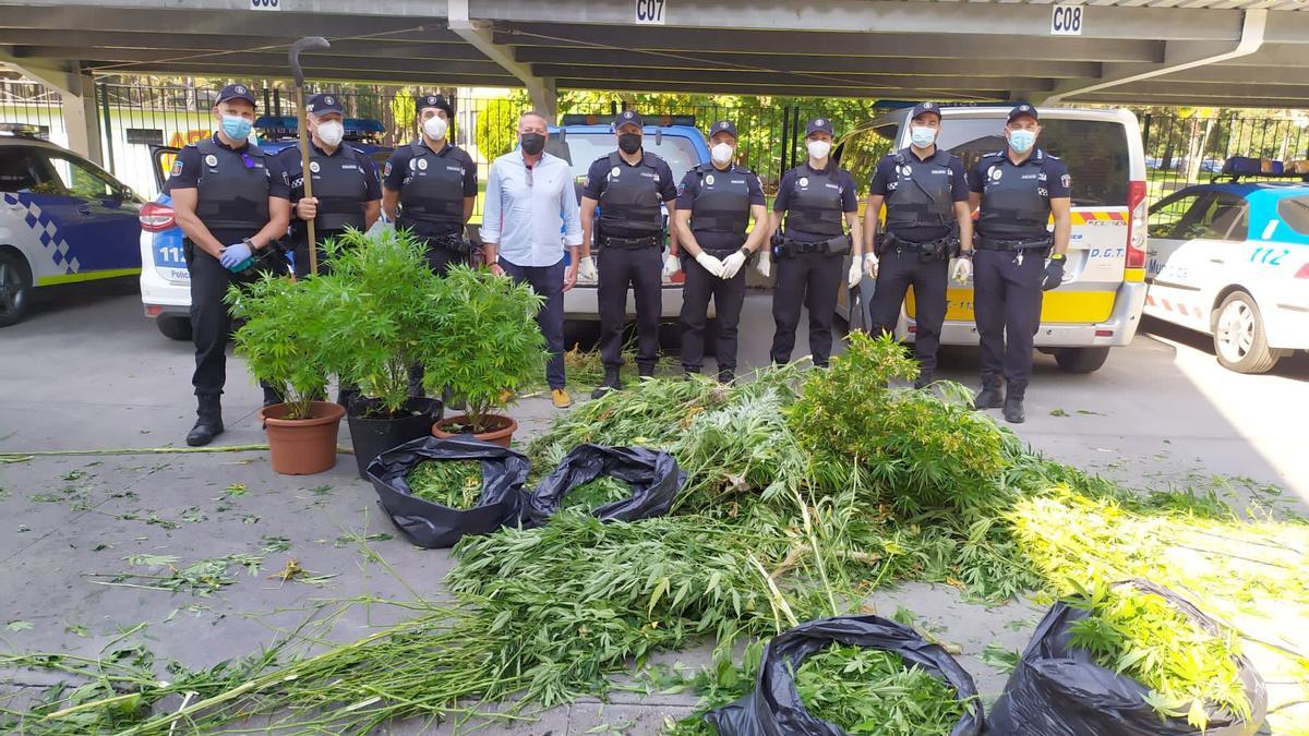 Las plantas de marihuana confiscadas en Ponferrada.