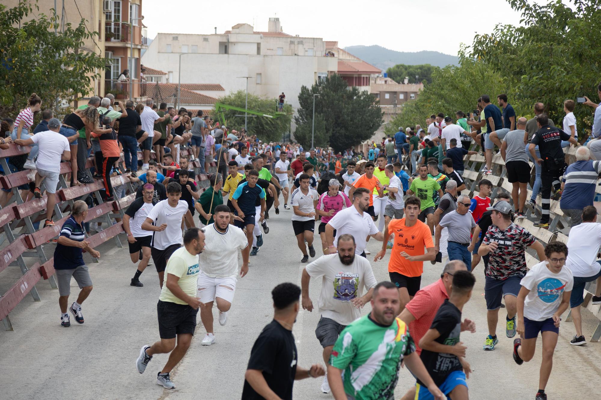 Tercer encierro de la Feria Taurina del Arroz en Calasparra