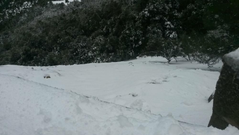 Schnee im Mallorca-Gebirge verursacht Staus