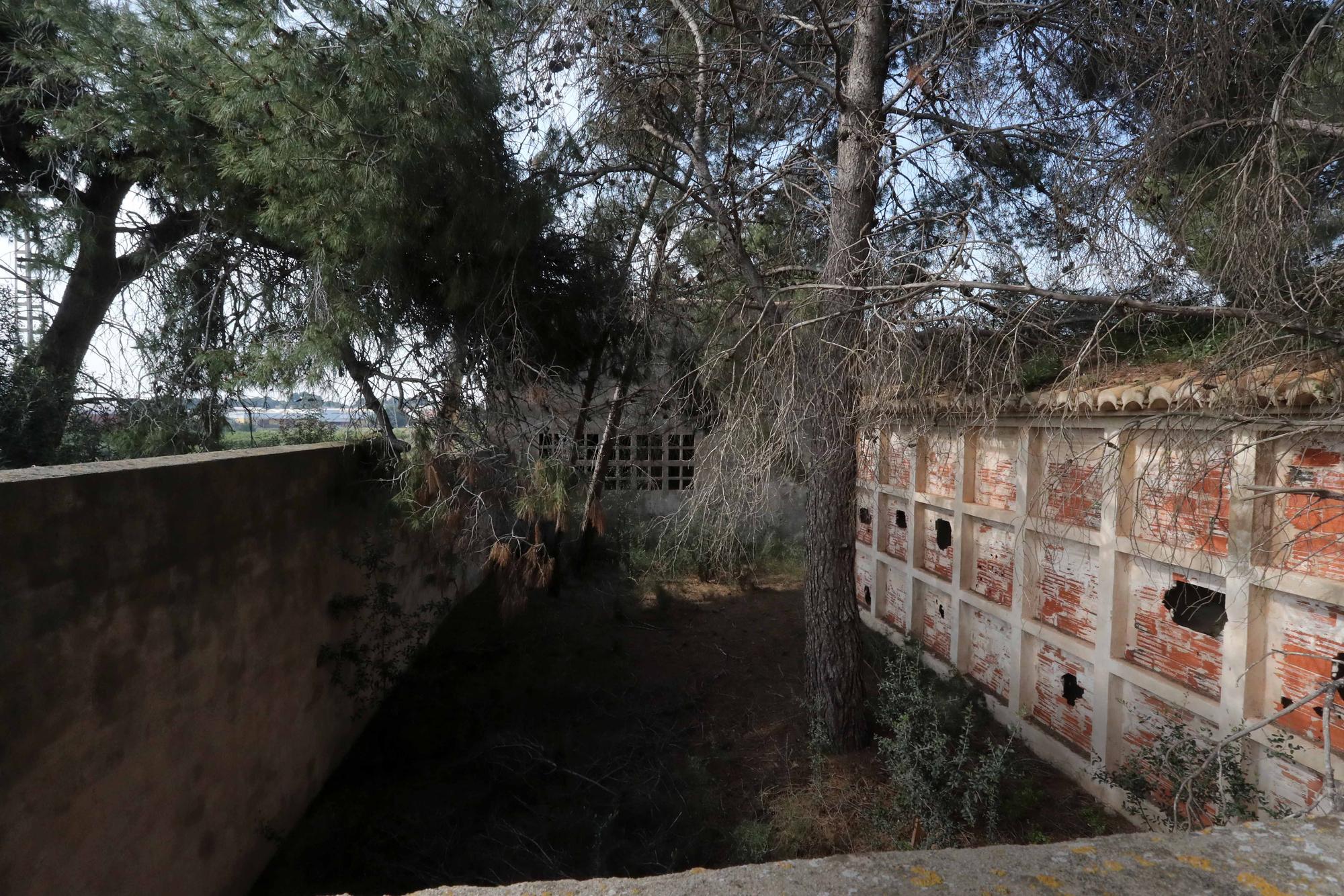 El cementerio abandonado de Moncada que te recordará a las películas de zombies