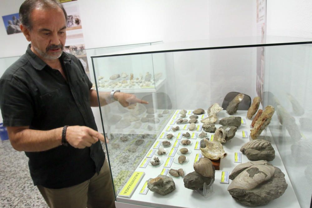 Más de 1.500 ejemplares entre gemas, minerales, óxidos y fósiles pueden apreciarse dentro del museo de la calle Bailén