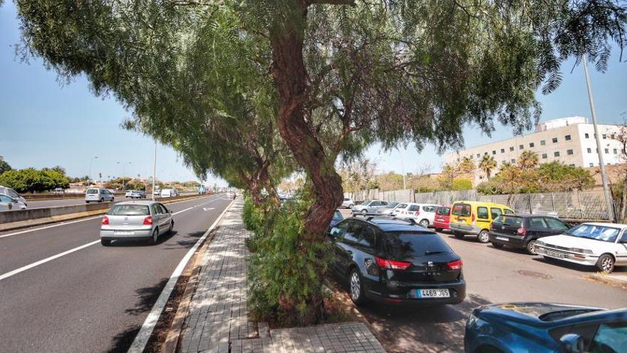 La mitad de los miembros de la ULL acuden al centro en coche privado