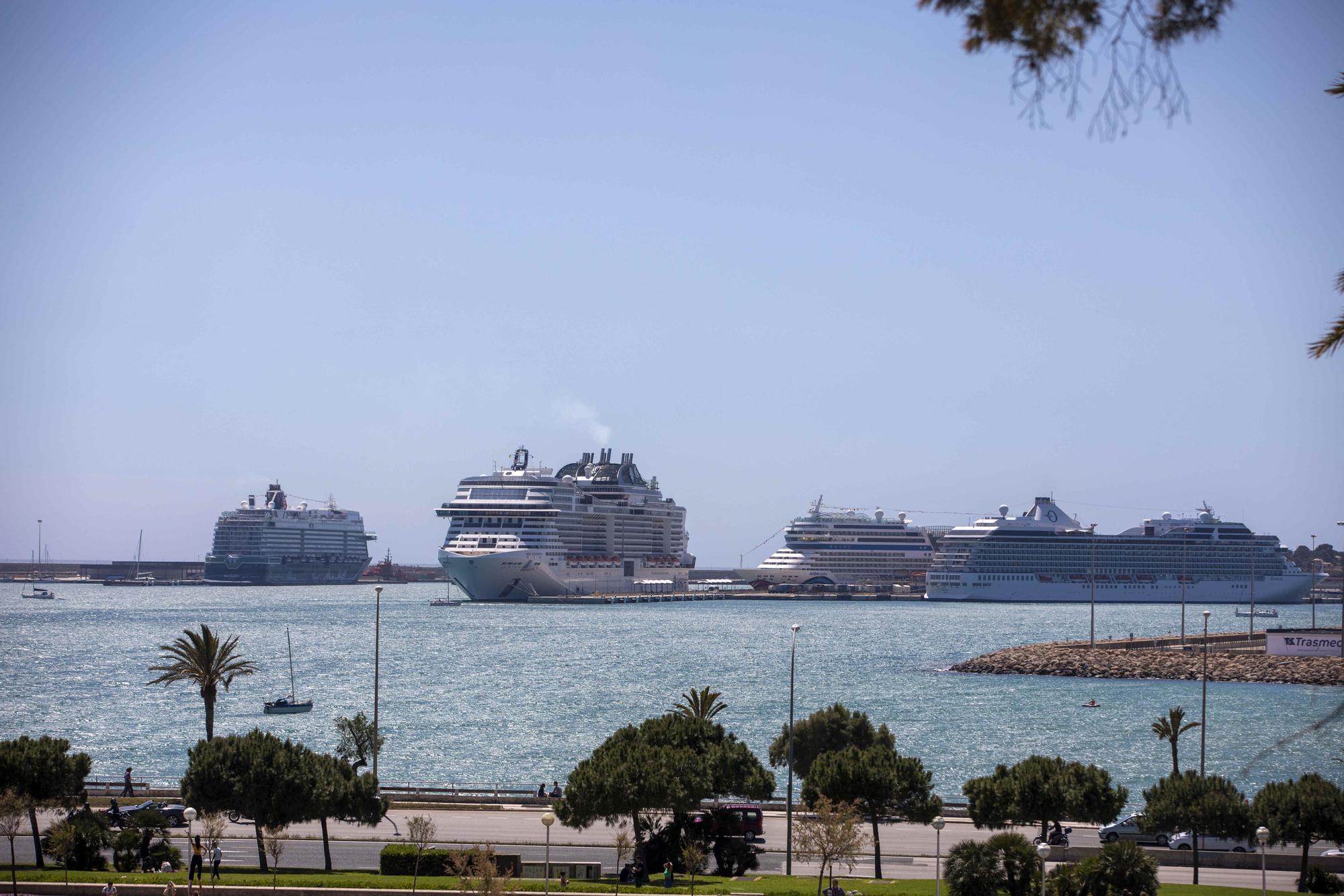 Cuatro grandes cruceros atracados en Palma este domingo