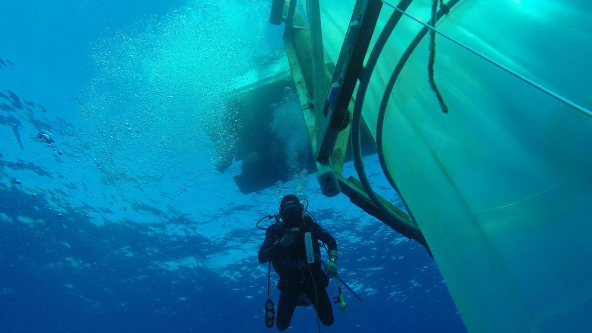 Un buceador trabaja en uno de los mesocosmos utilizados para controlar las condiciones del agua de mar canario .