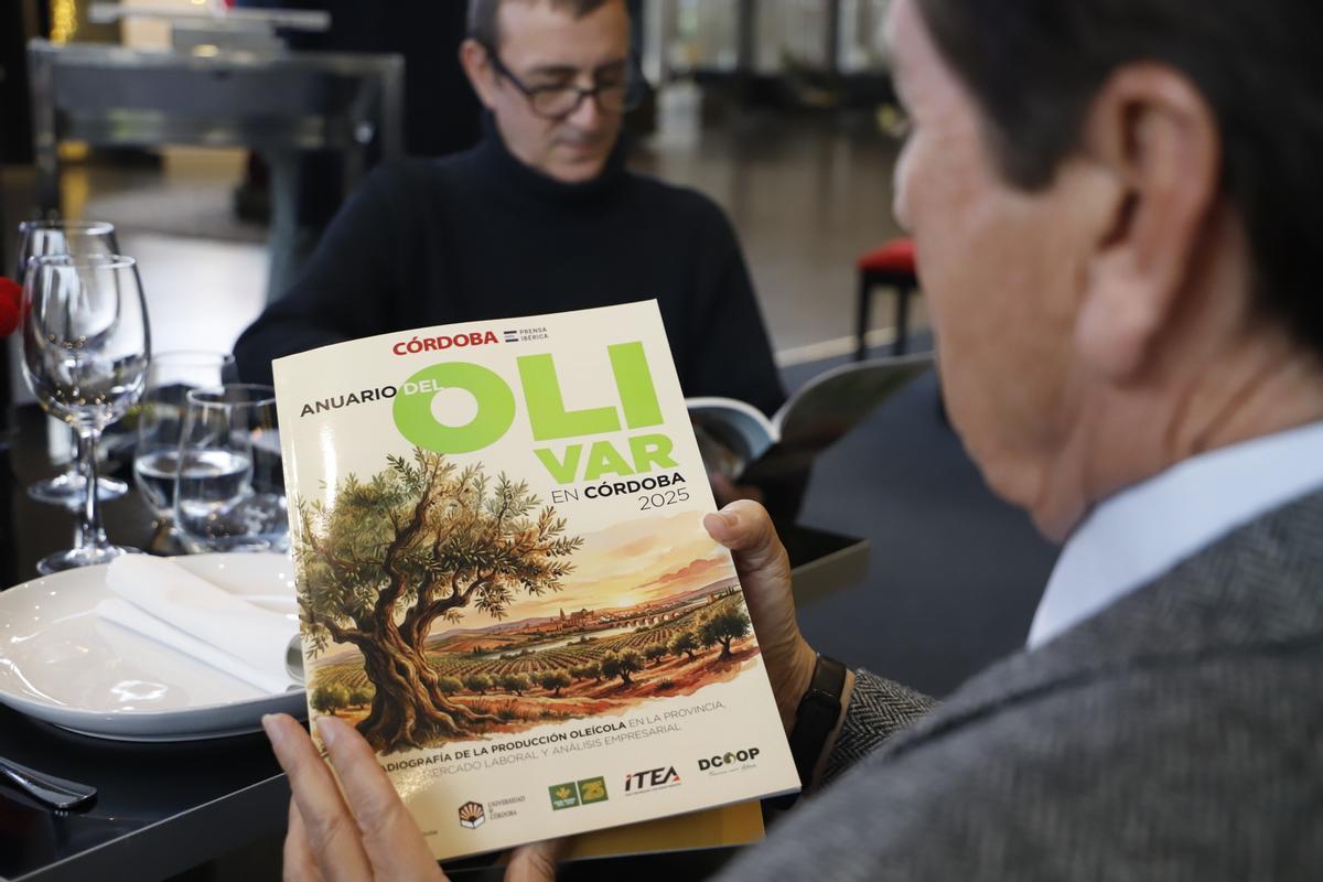 Radiografía del sector oleícola en Córdoba, en imágenes