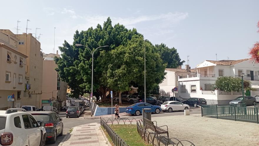 Un oasis de sombra en la calle del Marqués de Ovieco