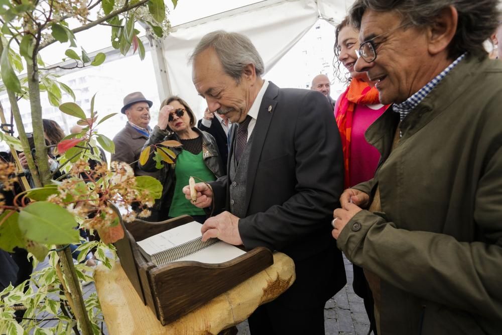 Inauguración de la feria de la Ascensión