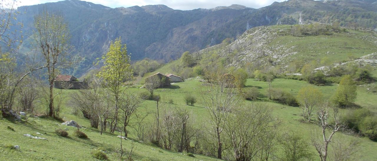 Cabañas en los Invernales de la Nava