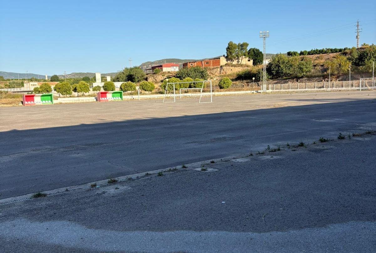 Estado actual del campo de 'El Molino' en Bugarra