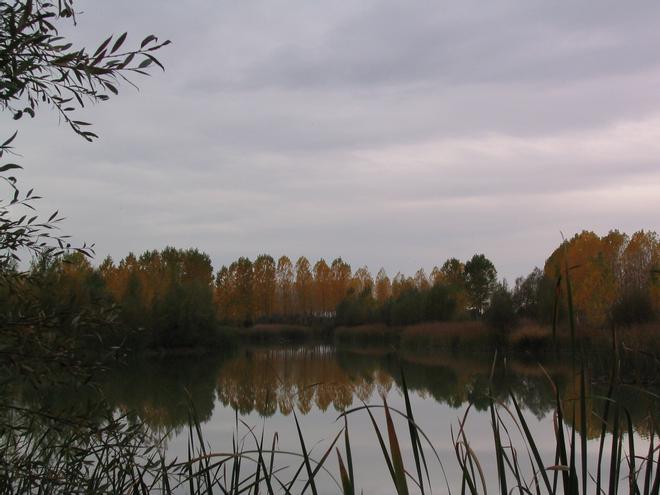 Humedales en la Ribera del Duero