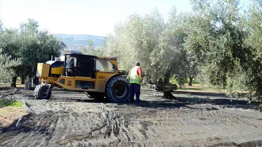 Gran parte de la inversión de la Junta en Córdoba este año será para agricultura