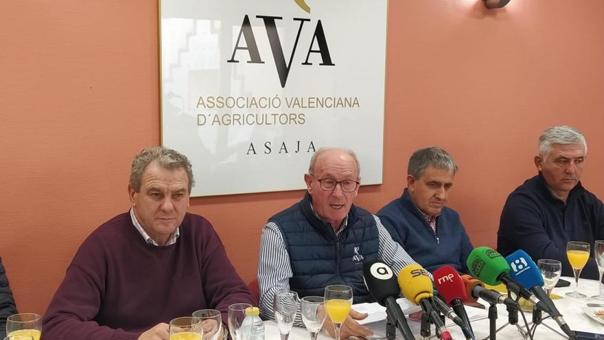 AVA-Asaja eleva a 400 millones las pérdidas en el campo en 2023 por la sequía y menor producción