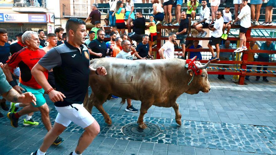 Chiva celebra su Torico de la Cuerda tras días de incertidumbre