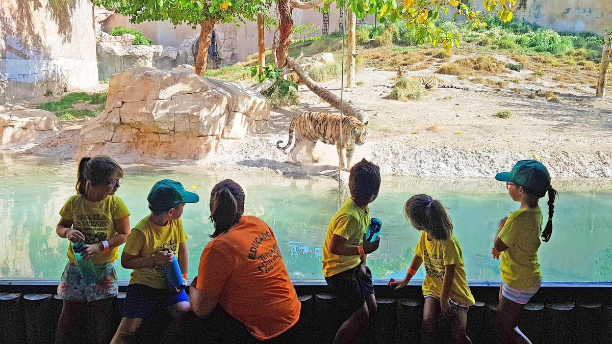 Niños y adolescentes tendrán la oportunidad de conocer de cerca a los animales del parque para reforzar sus conocimientos en ciencias naturales