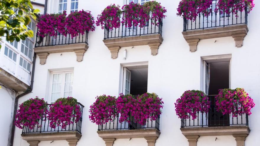 La Ley Propiedad Horizontal lo confirma: los vecinos que cuelguen flores y plantas de su balcón pueden recibir avisos y multas de la comunidad si superan este límite