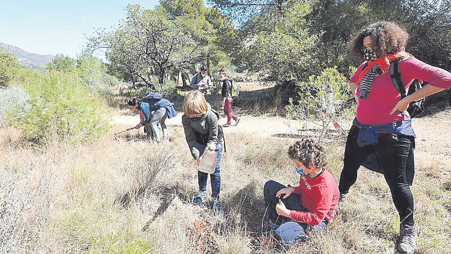Ajuda a plantar un arbre en la Serra d’Espadà