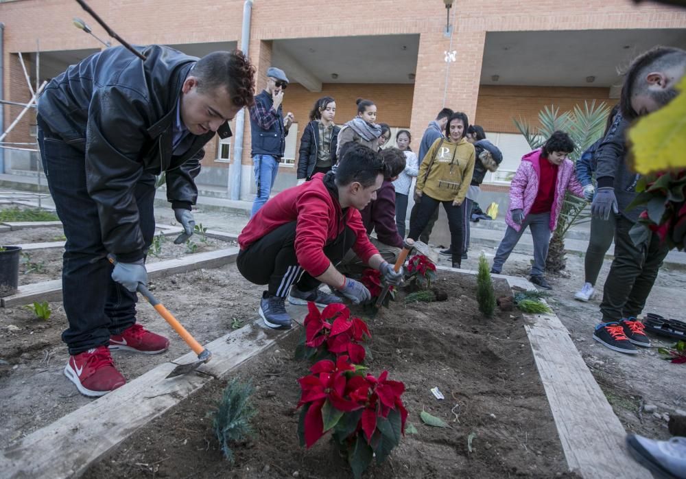 Alumnos con diversidad funcional en Severo Ochoa