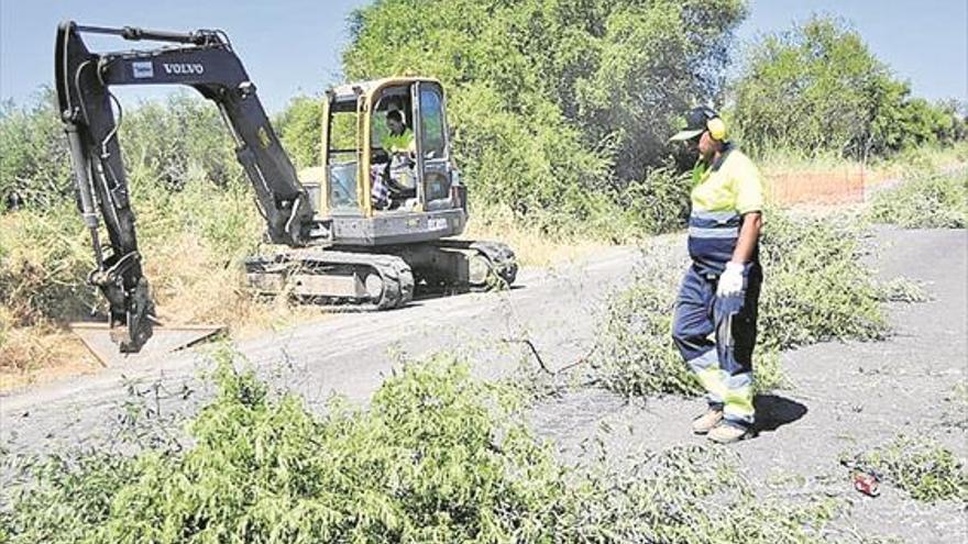 Comienzan las obras de mejora de la carretera de El Carpio a San Antonio