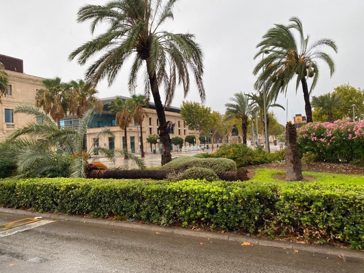 FOTOS │Una intensa tormenta barre Mallorca FOTOS │Una intensa tormenta barre Mallorca