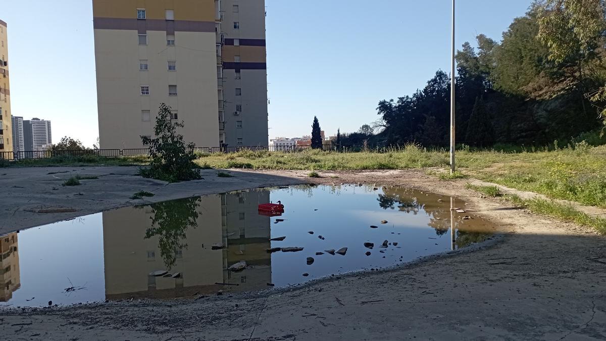 El campo de fútbol abandonado en La Palma, esta semana, con un gran charco, aprovechado en ese momento por un pato.