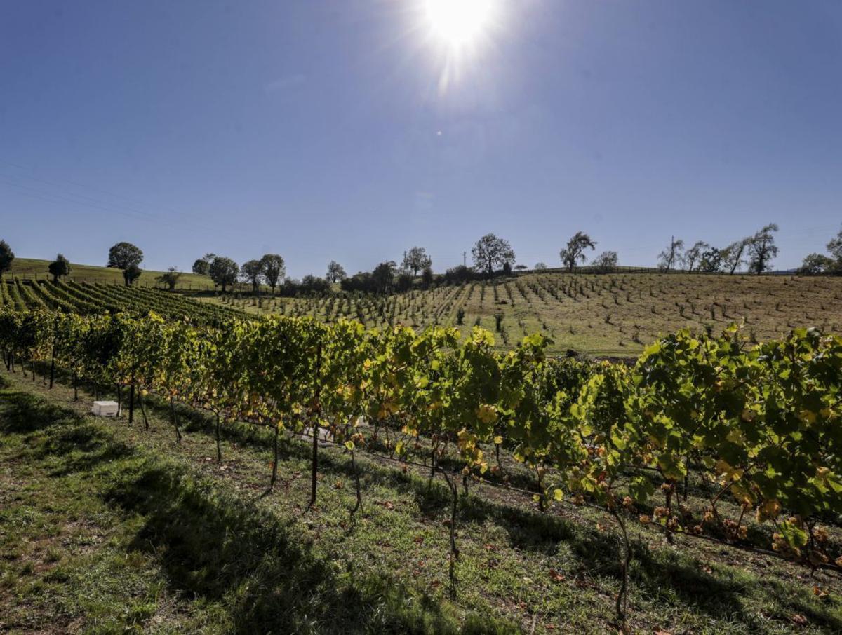 El mejor alojamiento del norte es vecino del vino que se hace más al norte