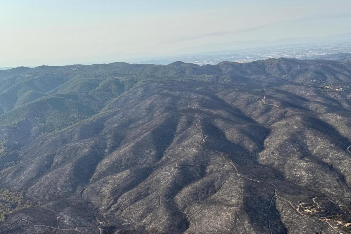 Les Gavarrres, després de l'incendi