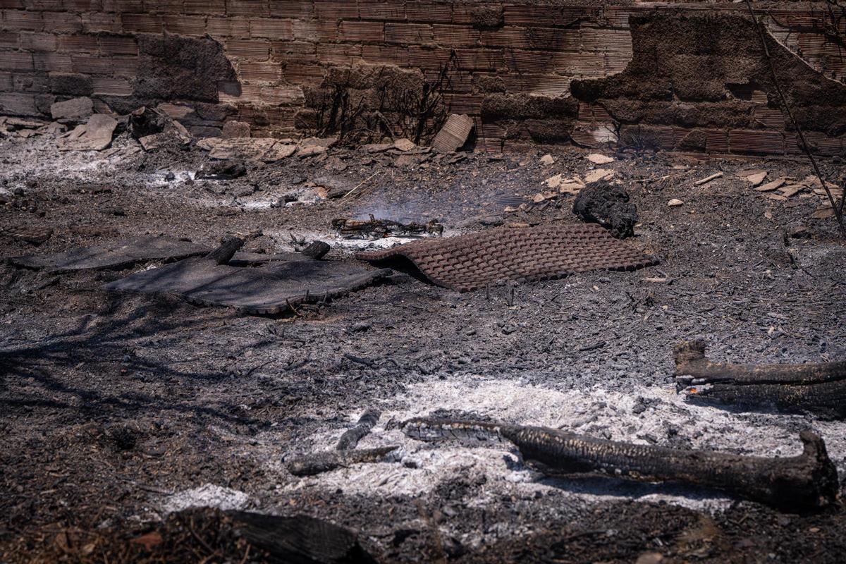 Columna de humo visible durante el incendio forestal de Sentmenat, cuyo avance ha movilizado un amplio dispositivo de emergencias