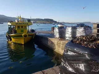 2019: La flota arousana domina claramente el Registro de Buques de Galicia
