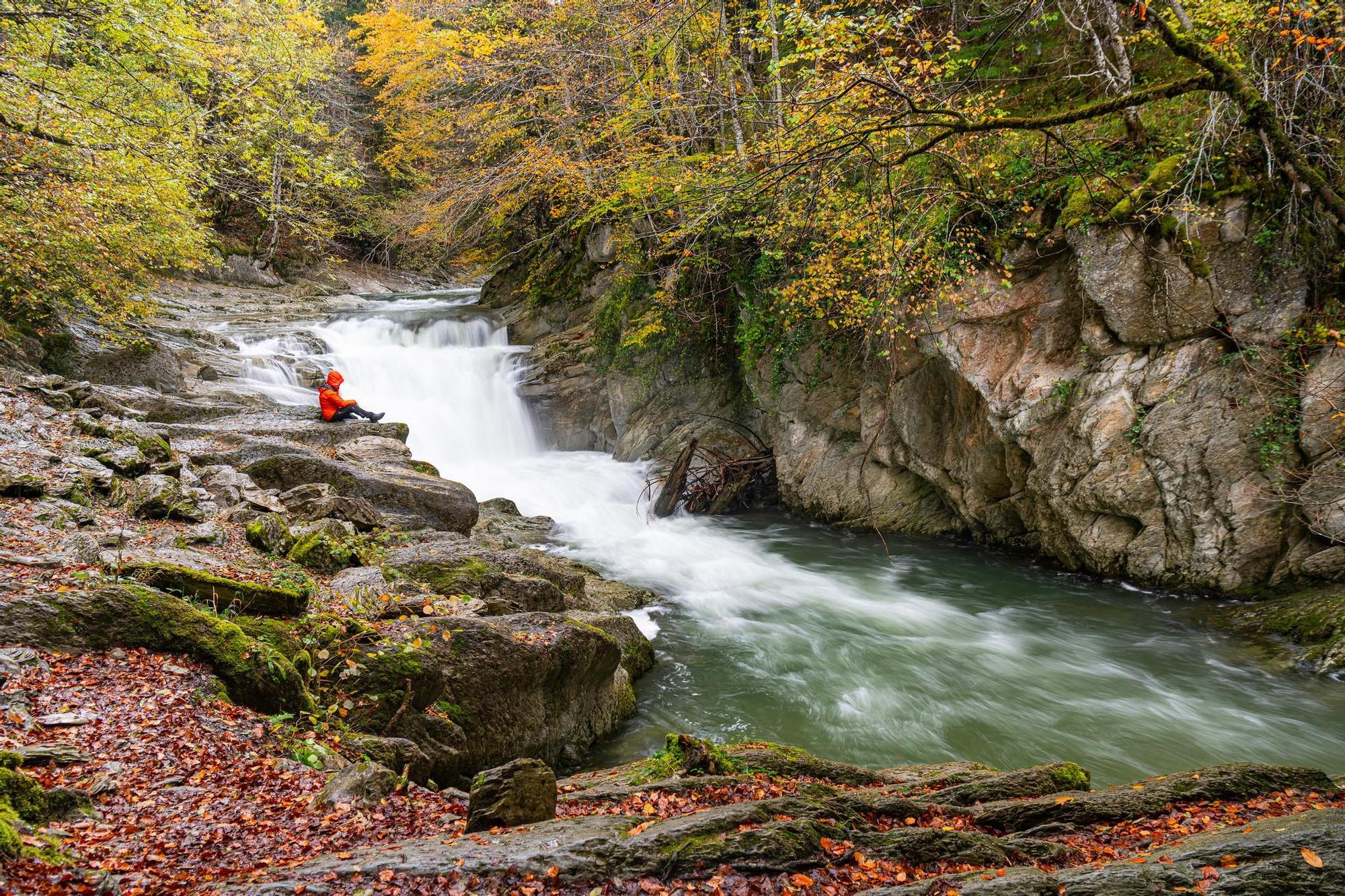 La selva de Irati en Navarra