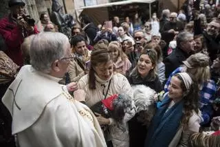 San Antón y don Ceferino reivindican la influencia de las mascotas en la cultura en Cáceres