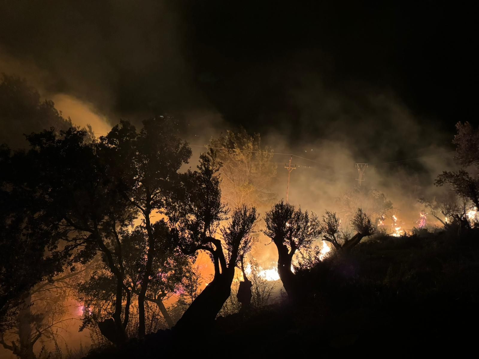 Un incendio forestal obliga a desalojar varias viviendas en Sóller