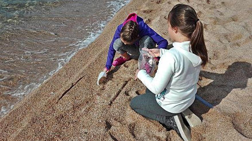 Un projecte de ciència ciutadana analitza la contaminació de les platges per microplàstics