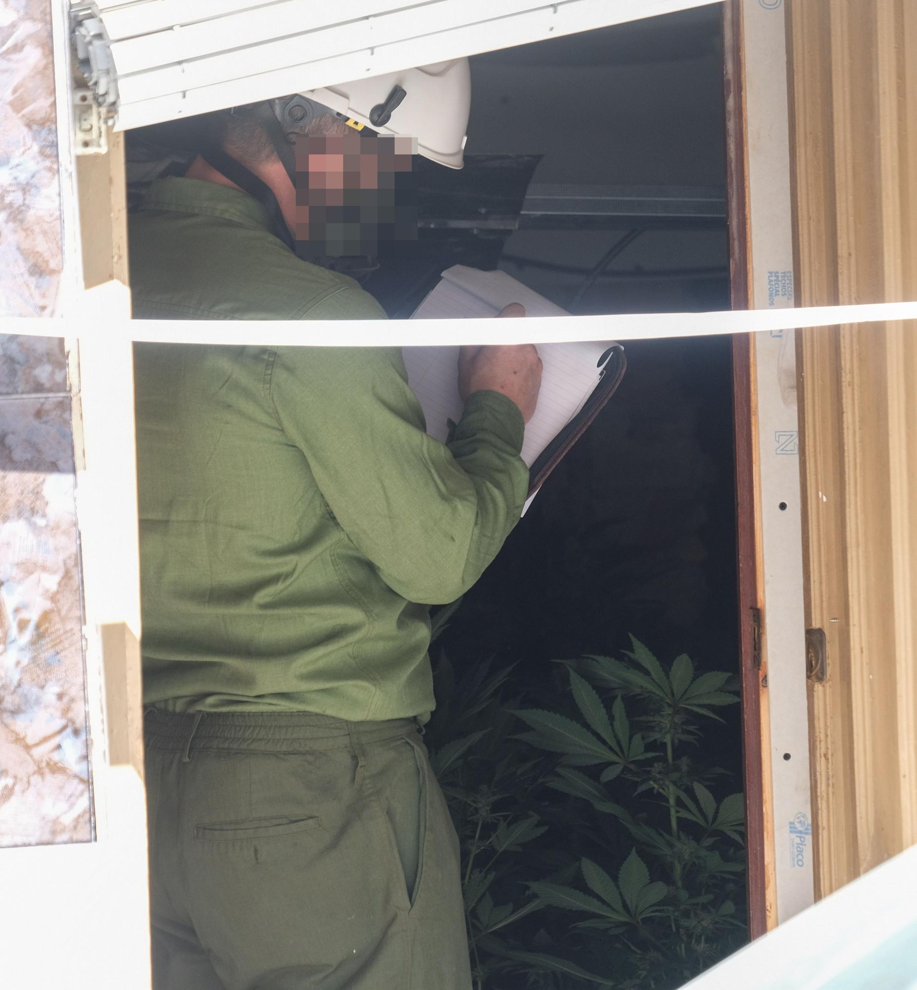 El incendio en una vivienda de Elda permite descubrir una plantación de marihuana