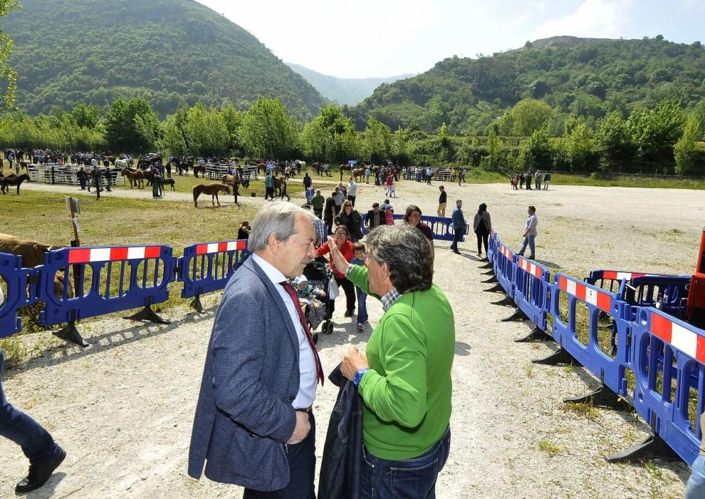 Feria de La Ascensión en Olloniego